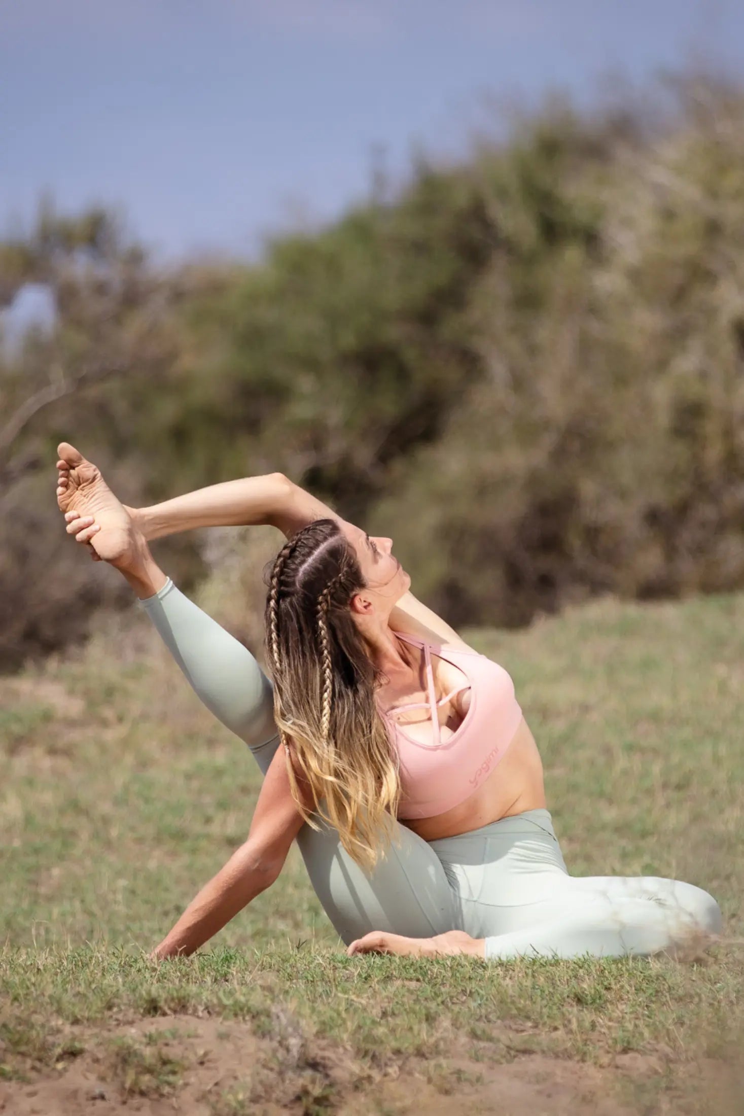 Top BHADRA Mellow Rose