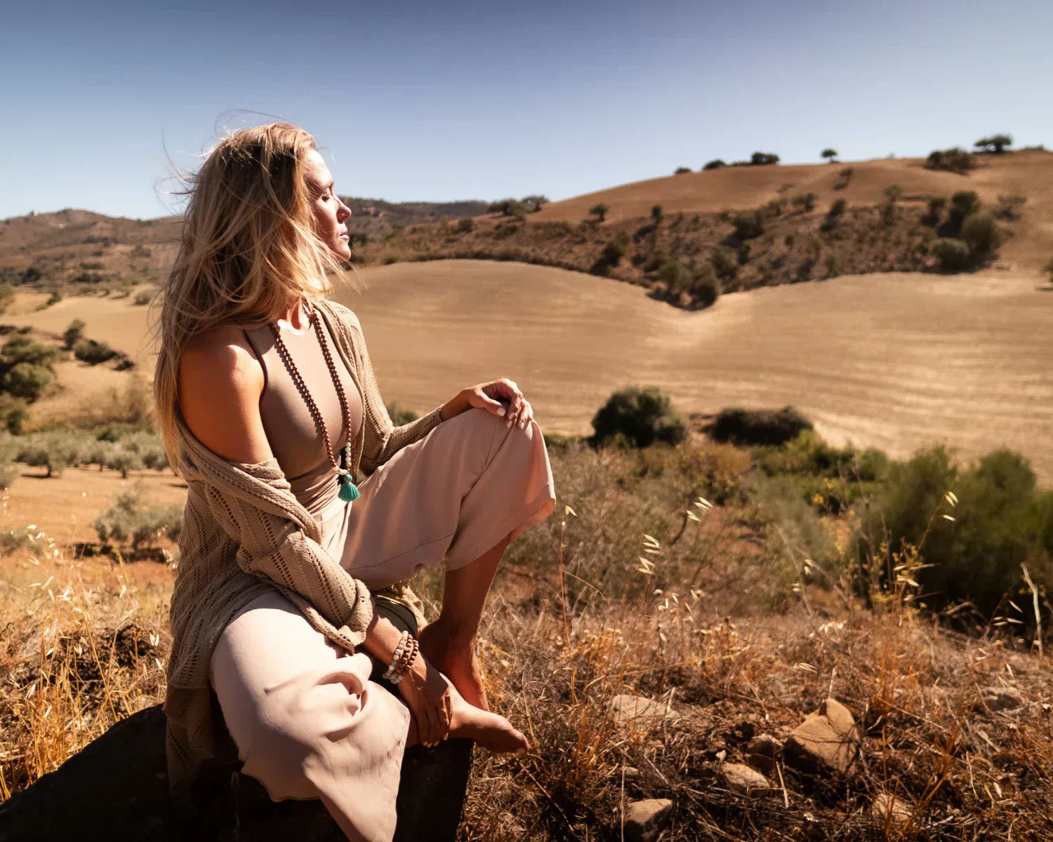 Todo sobre las Ondas Cerebrales: Guía Definitiva 2026